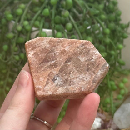 Golden Sunstone Slab (F736)