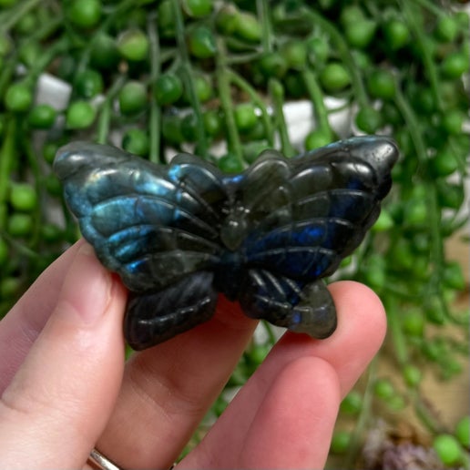 Labradorite Butterfly (G737)