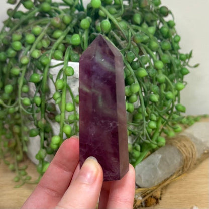 Purple Fluorite Point (L547)