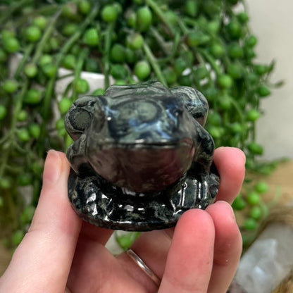 Kambaba Jasper Frog (L315)