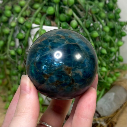 Blue Apatite Sphere (I609)