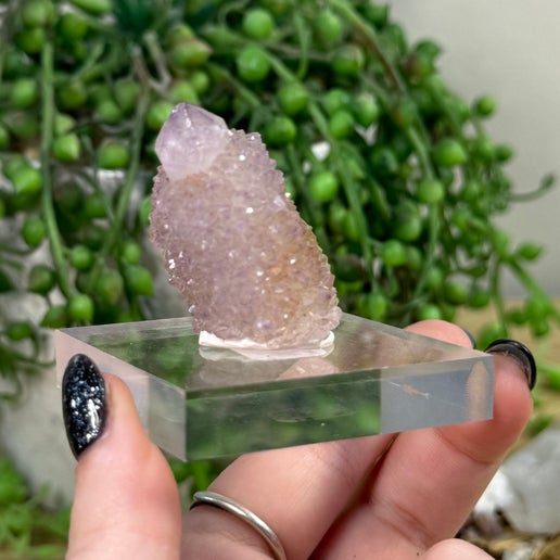 Spirit Quartz Cluster (J697)