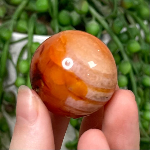 Carnelian Sphere 7