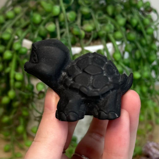 Black Obsidian Turtle (J594)