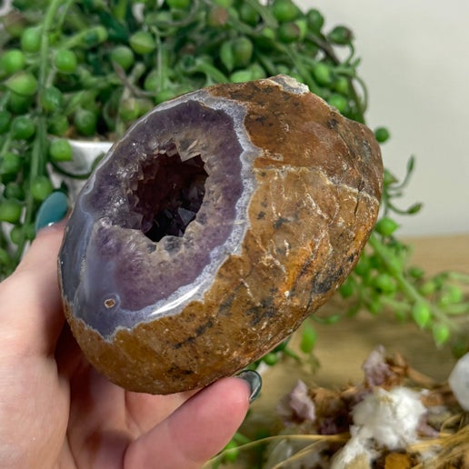 Druzy Amethyst Geode (J915)