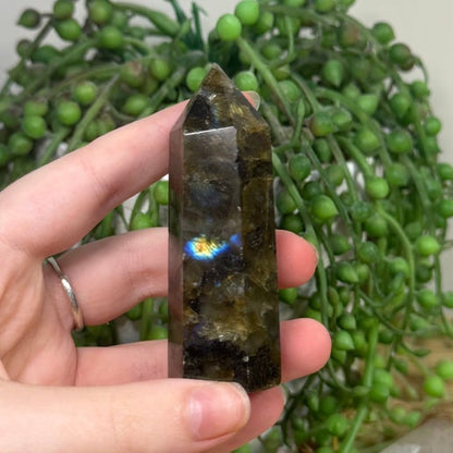 Labradorite Point (A463)