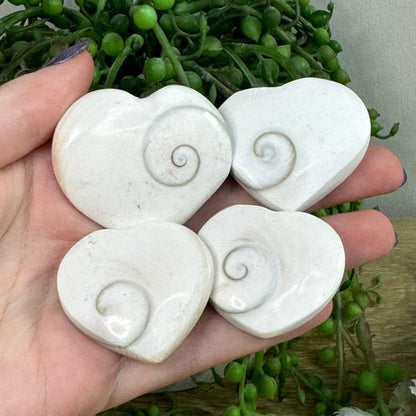 Shell Hearts