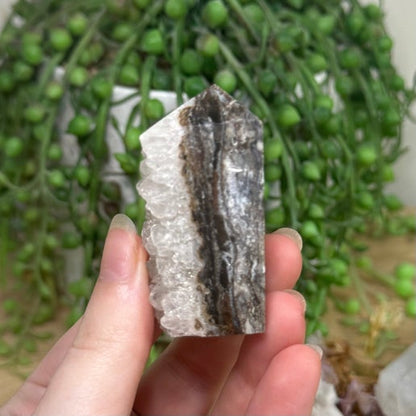 Apophyllite / Sphalerite Point (K317)