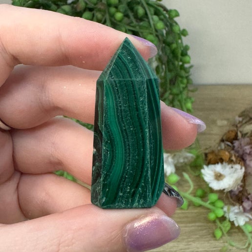 Malachite Point (F301)