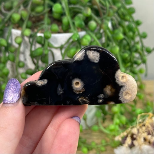 Black Flower Agate Cloud 7