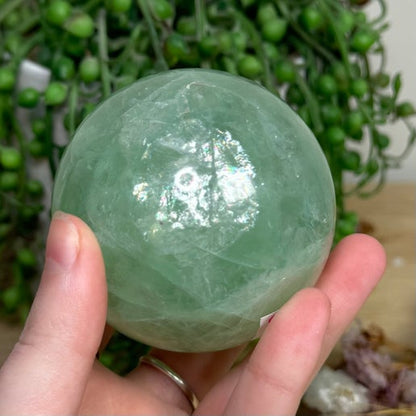 Green Fluorite Sphere (L810)