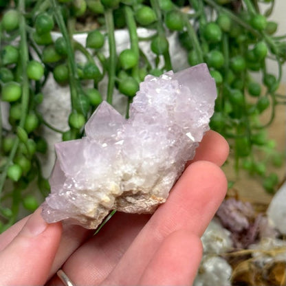 Spirit Quartz Cluster (I752)