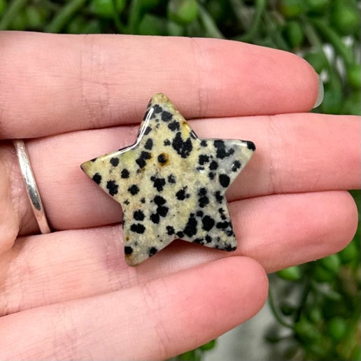 Dalmatian Jasper Small Star