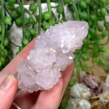 Spirit Quartz Cluster (I752)