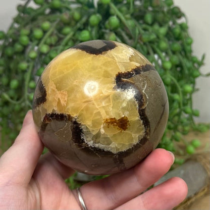 Septarian Sphere (J303)