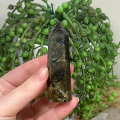 Labradorite Point (A459)