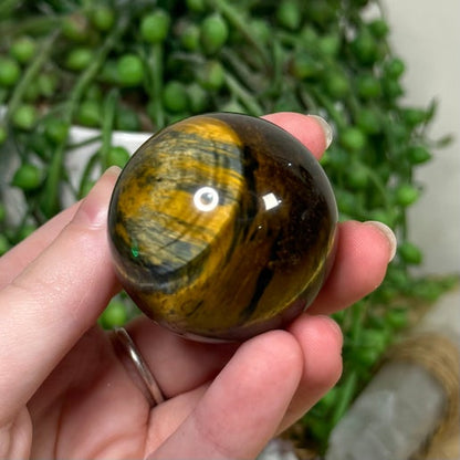 Tiger Eye Sphere (J762)