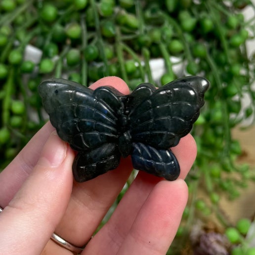 Labradorite Butterfly (G736)