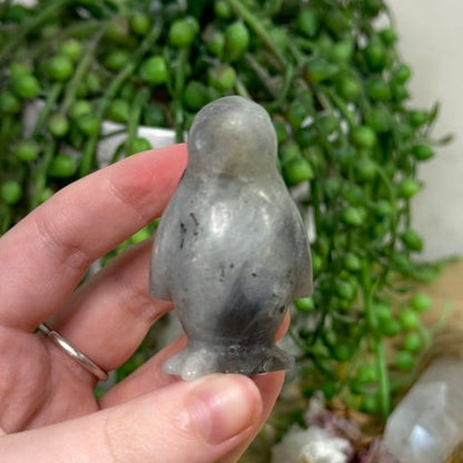 Labradorite Penguin (J892)