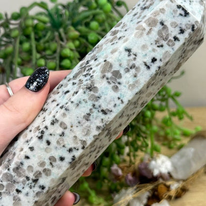 Kiwi Jasper Towers (E412)