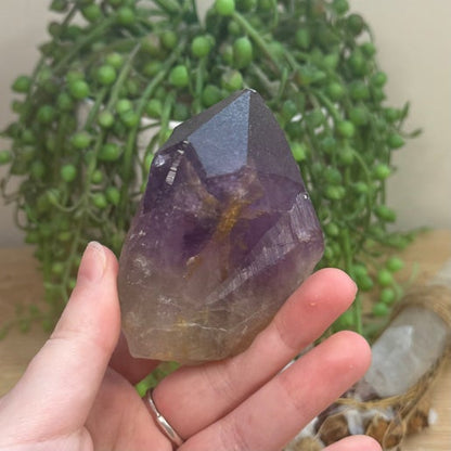 Amethyst Root (J741)