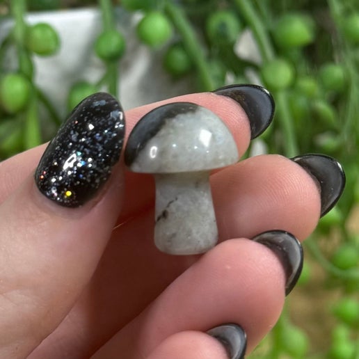 Labradorite Mini Mushroom