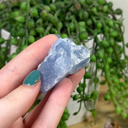 Blue Celestite Chunk (K148)