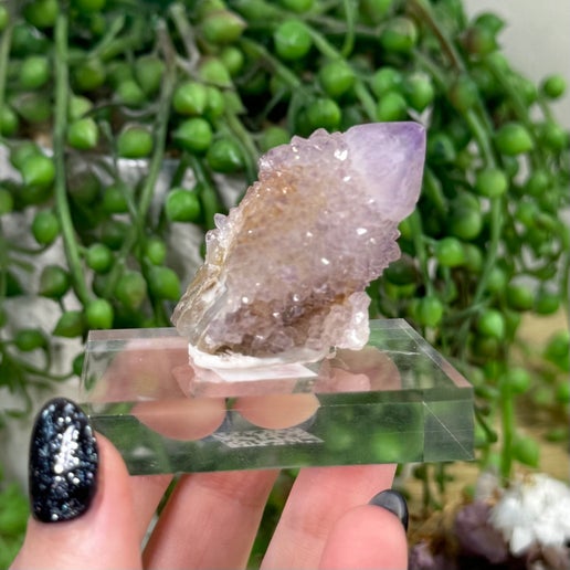 Spirit Quartz Cluster (J699)