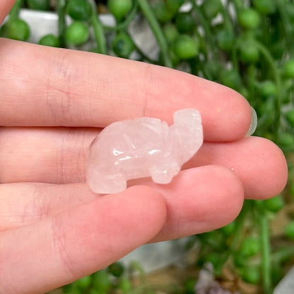 Rose Quartz Mini Turtle