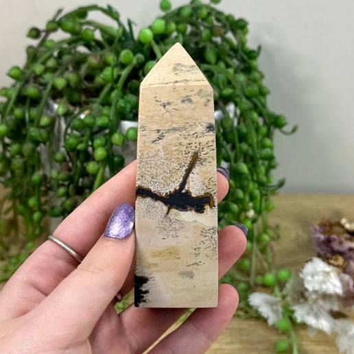 Picture Stone Jasper Point (H769)