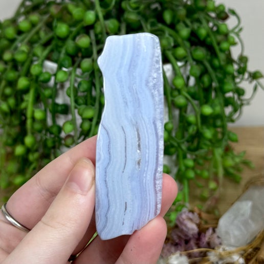 Blue Lace Agate Slice (M63)