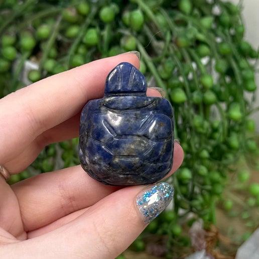 Sodalite Turtle (C389)