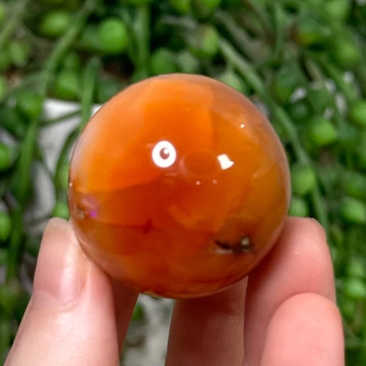 Carnelian Sphere 15