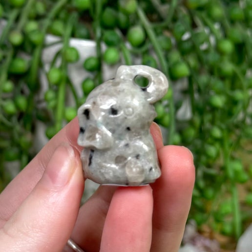 Kiwi Jasper Sitting Elephant (J395)