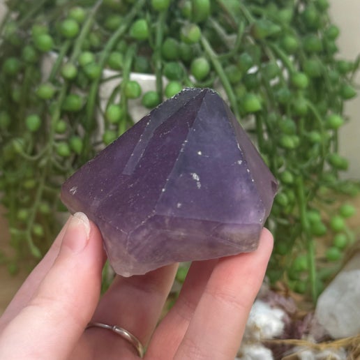 Amethyst Root (J733)