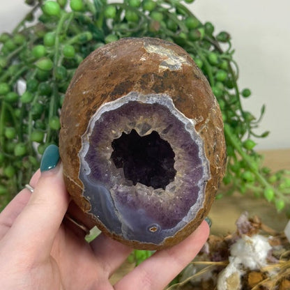 Druzy Amethyst Geode (J915)