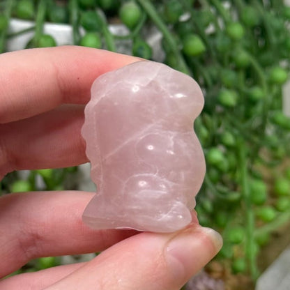 Rose Quartz Chubby Dino (H924)