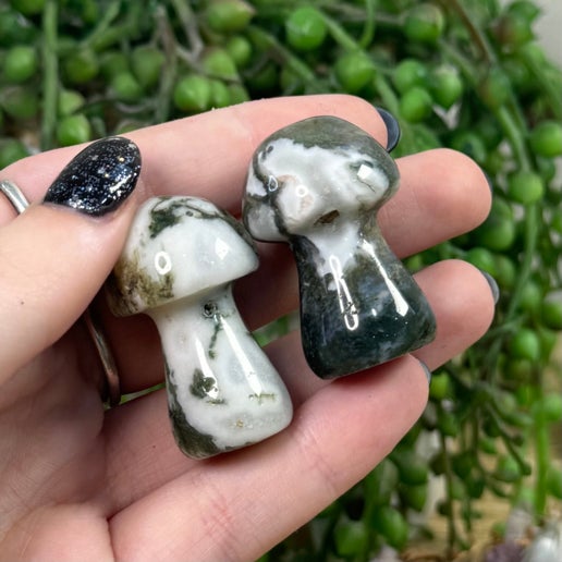 Moss Agate Medium Mushrooms