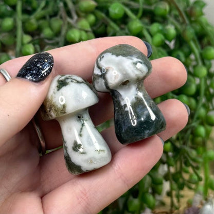 Moss Agate Medium Mushrooms
