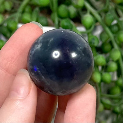 Rainbow Fluorite Sphere (H808)
