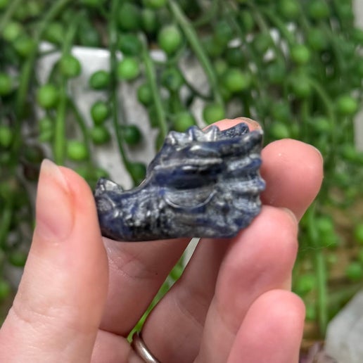 Sodalite Small Dragon Head