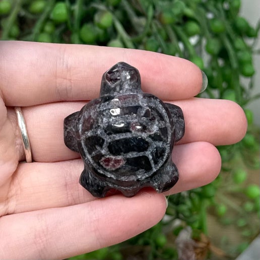 Garnet Turtle (C556)