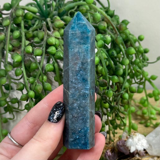 Blue Apatite Point (E993)