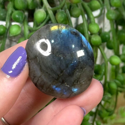 Labradorite Palm Stone (K842)