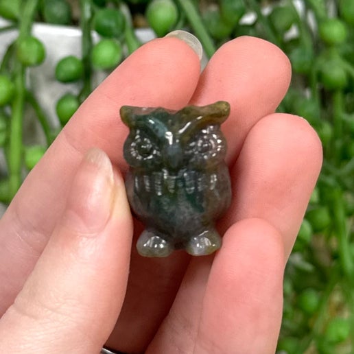 Ocean Jasper Small Owl