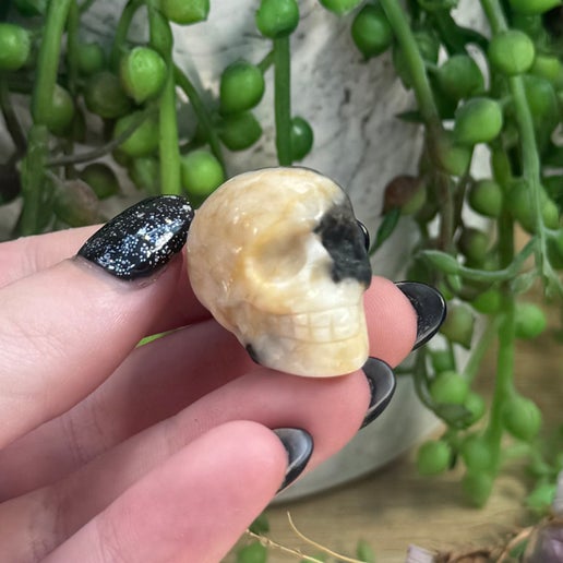 Zebra Jasper Small Skull