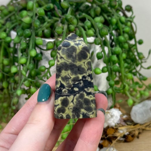 Snake Skin Serpentine Point (D581)