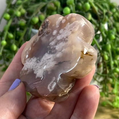 Flower Agate Flower (C972)