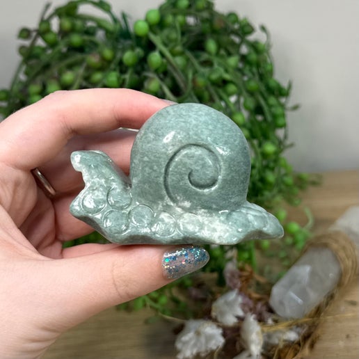 Green Jade Snail (I885)