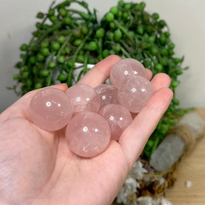 Rose Quartz Small Sphere